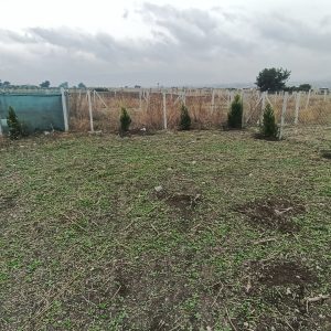 Tekeli Menderes’te Satılık Arsa 140 m2