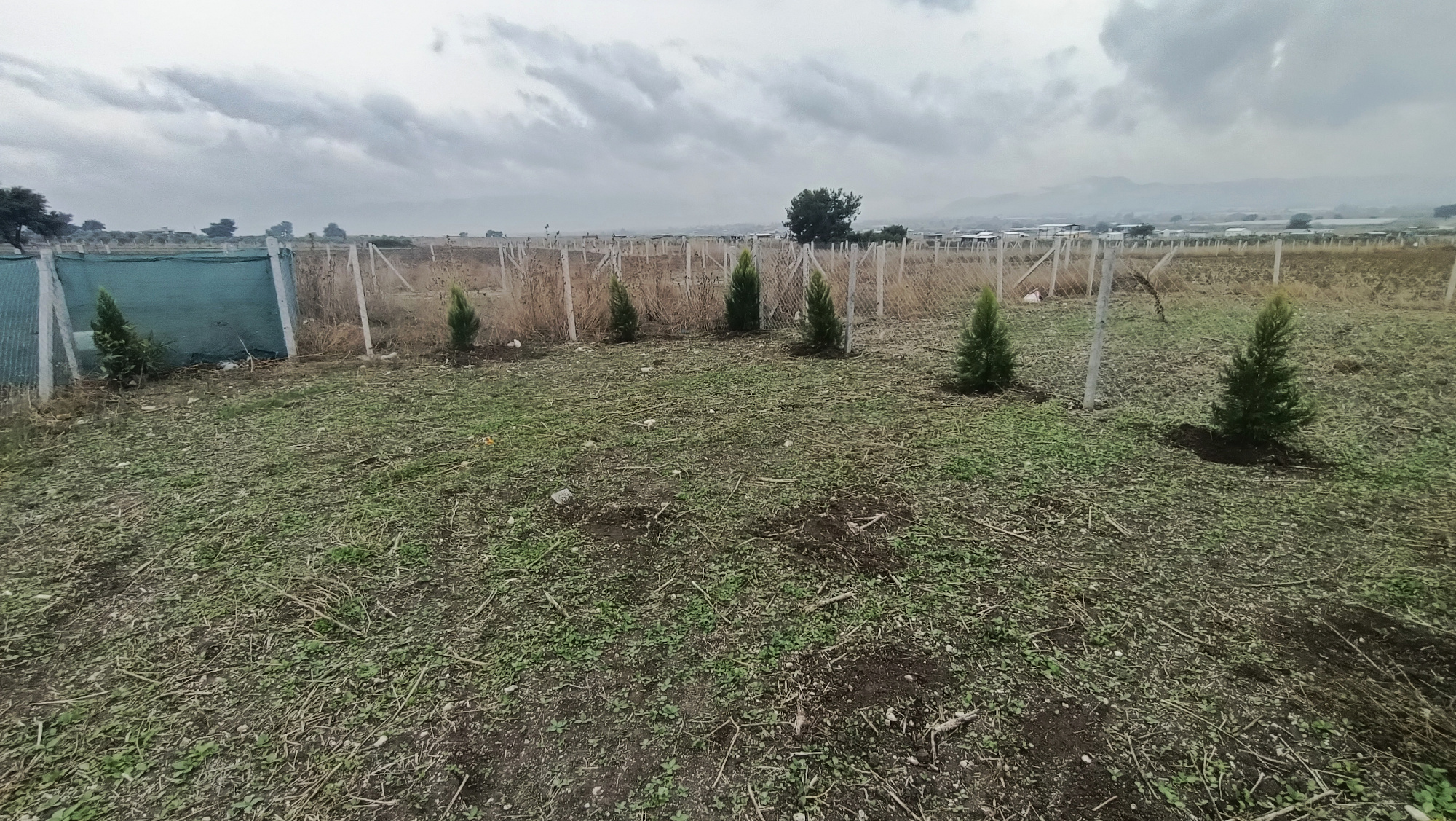 Tekeli Menderes’te Satılık Arsa 140 m2 03