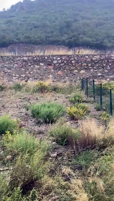 arsa ozdere 270 m2